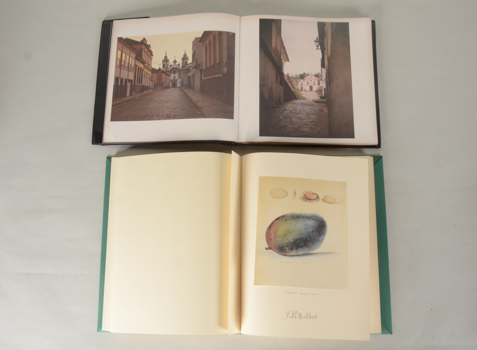 Seis livros : A) Aleijadinho - Germani Bazin B) Minas Gerais - Brasil... - foto 4 de 11