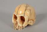 Netsuke de marfim representando caveira, assinada. - Netsuke de marfim representando caveira, assinada.