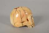 Netsuke de marfim representando caveira, assinada. - Netsuke de marfim representando caveira, assinada.