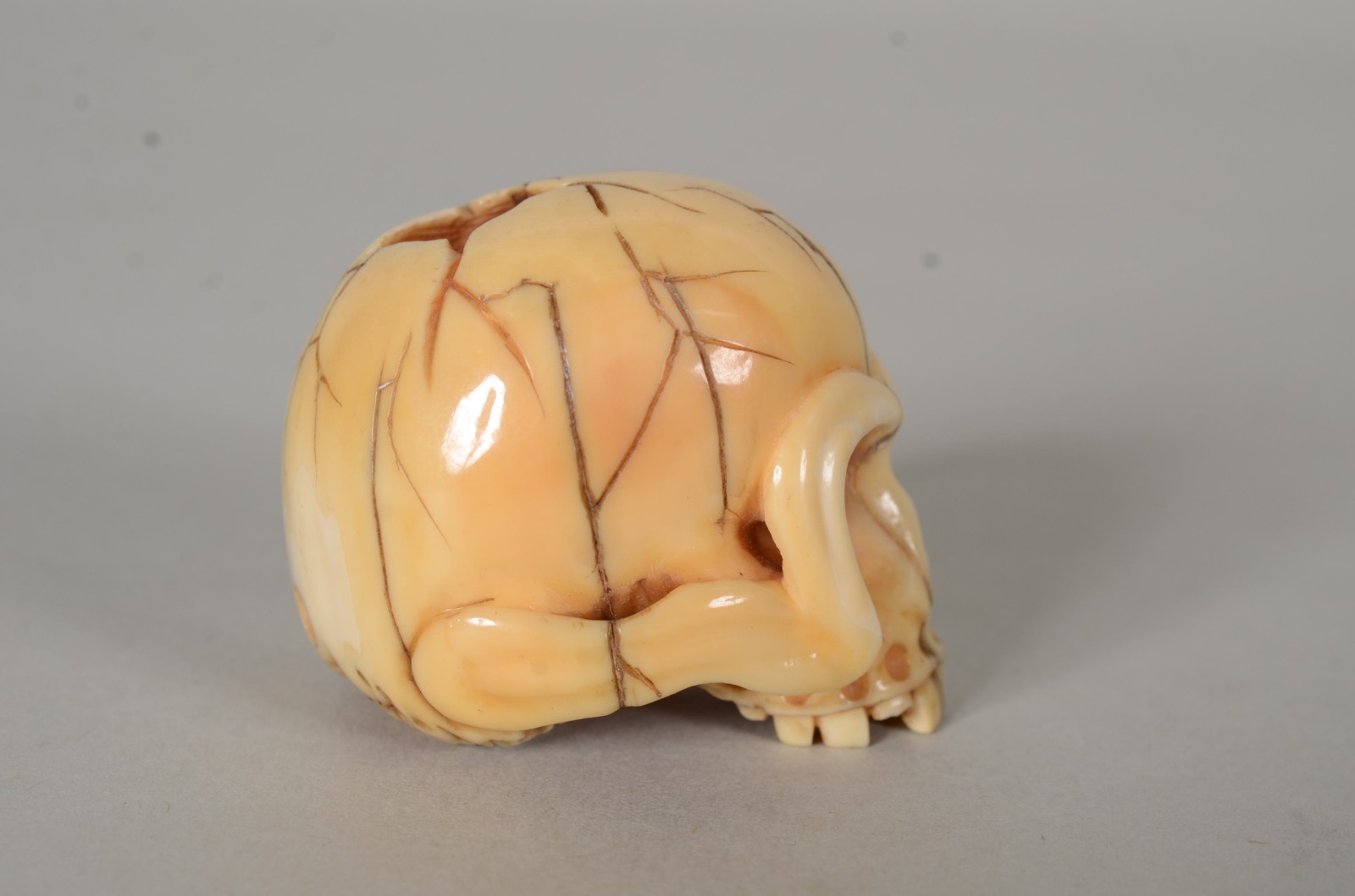 Netsuke de marfim representando caveira, assinada. - foto 3 de 6