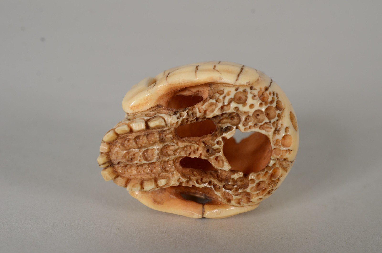 Netsuke de marfim representando caveira, assinada. - foto 5 de 6