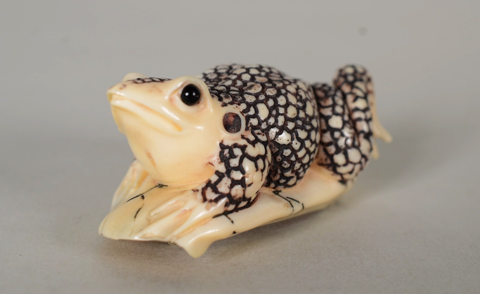 Netsuke de marfim representando sapo, assinado. - foto 1 de 7