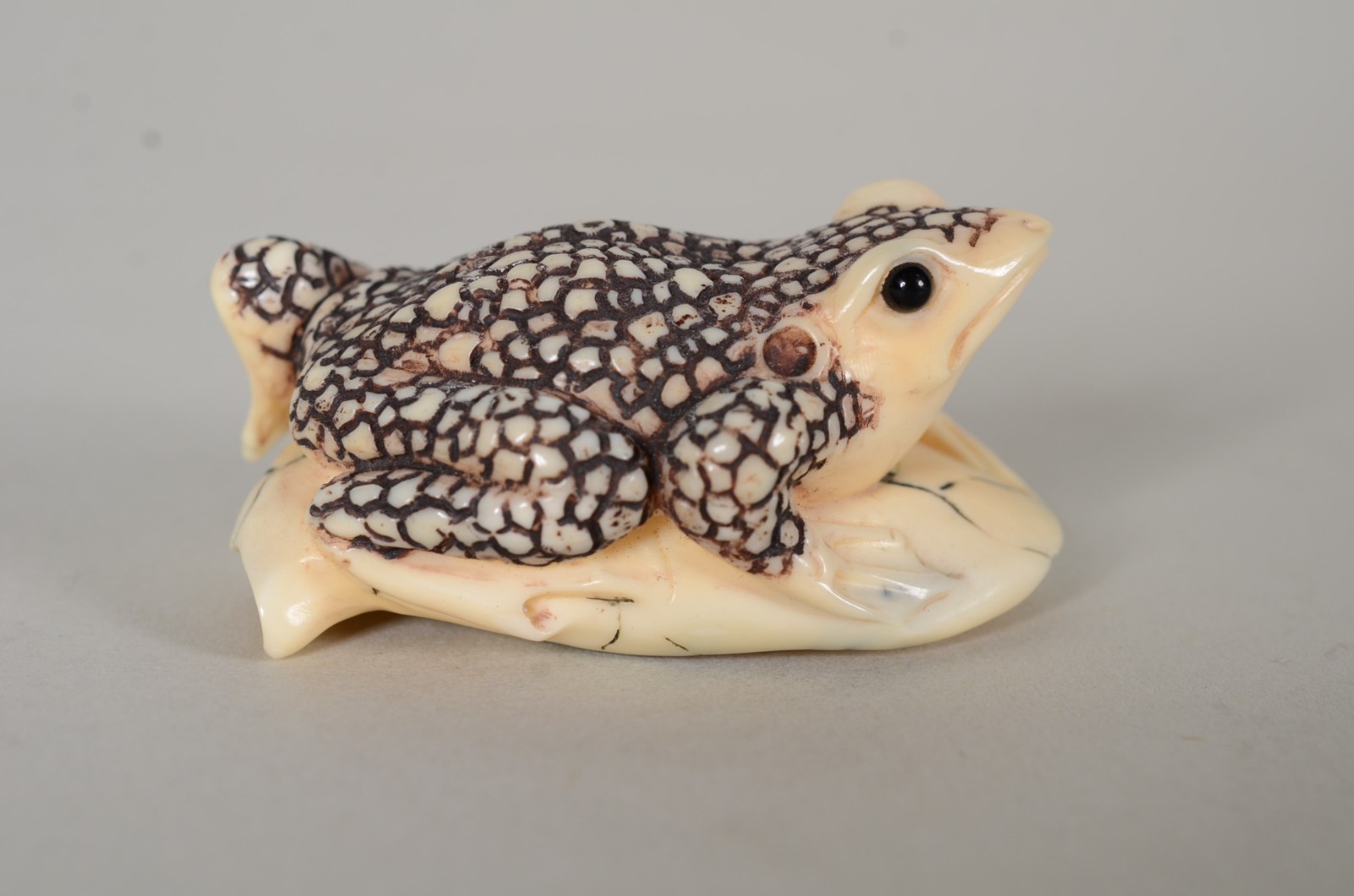 Netsuke de marfim representando sapo, assinado. - foto 3 de 7