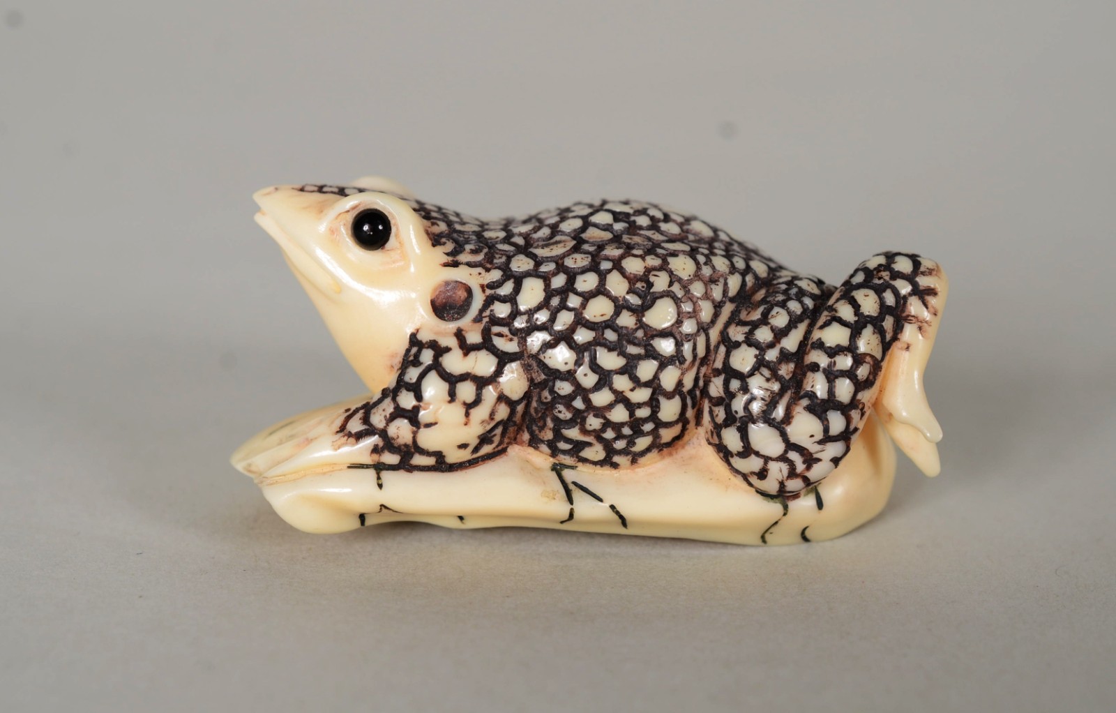 Netsuke de marfim representando sapo, assinado. - foto 4 de 7