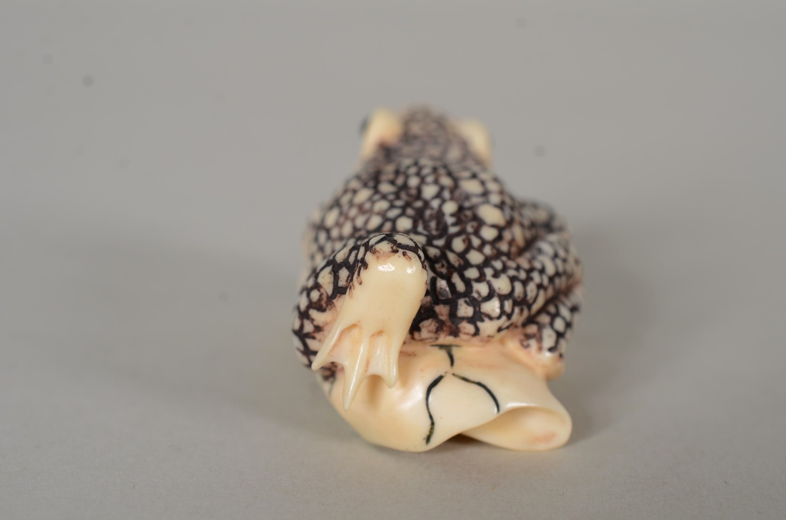 Netsuke de marfim representando sapo, assinado. - foto 5 de 7