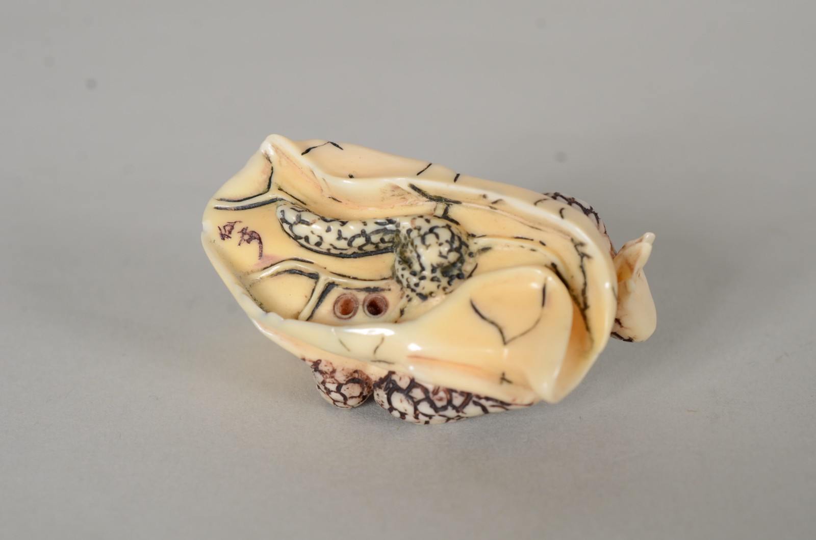 Netsuke de marfim representando sapo, assinado. - foto 6 de 7