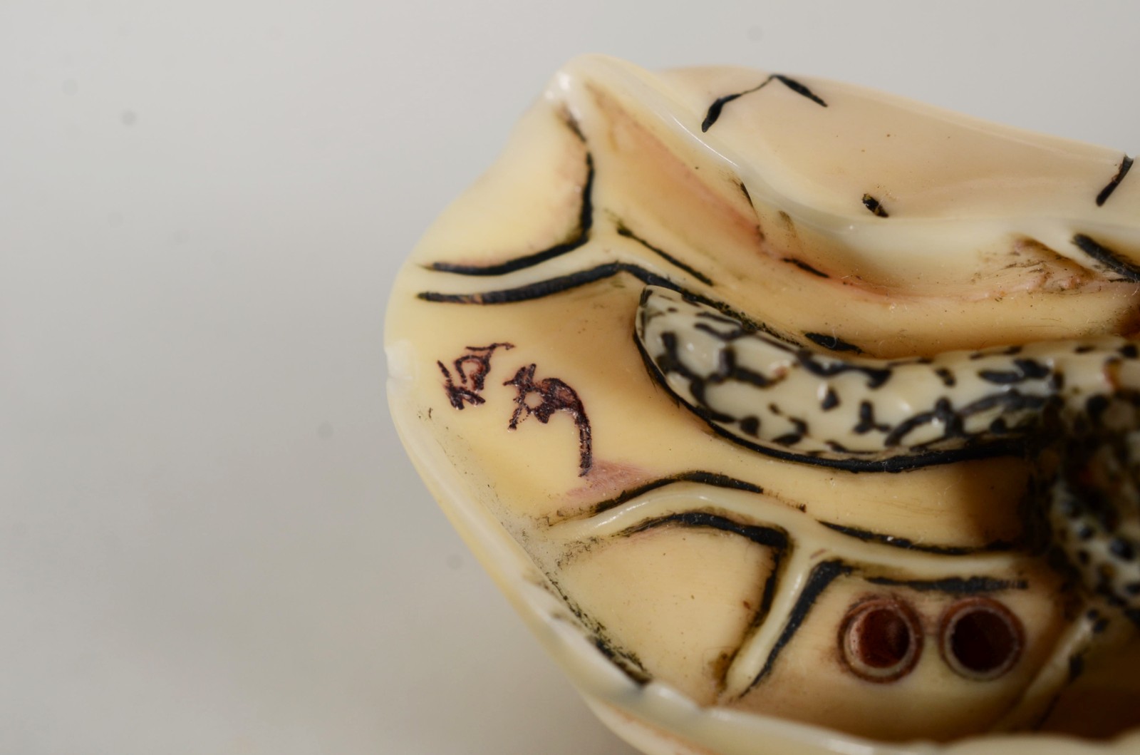 Netsuke de marfim representando sapo, assinado. - foto 7 de 7