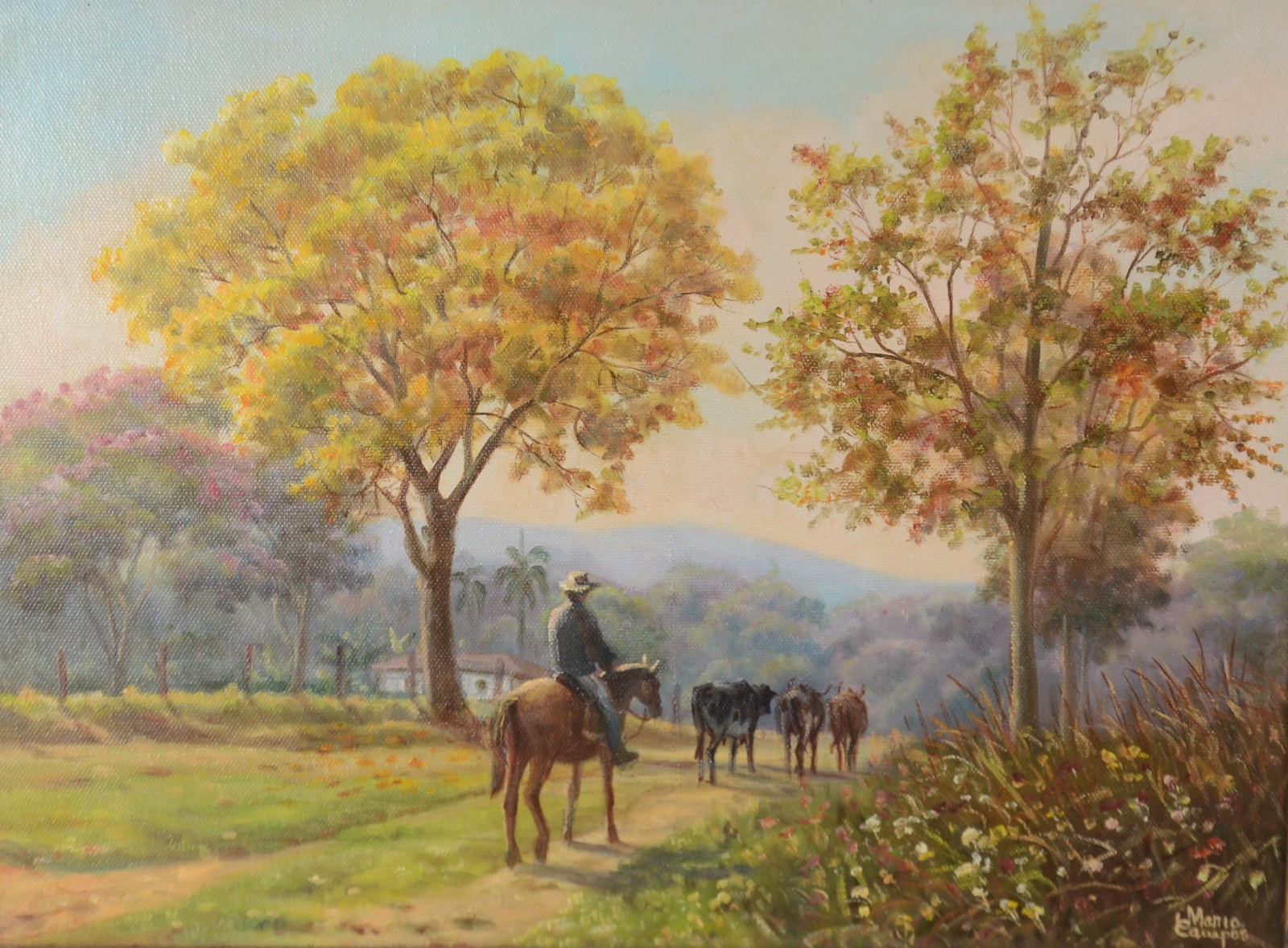 Maria Campos (1940), Caminho Do Vaqueiro - foto 1 de 5