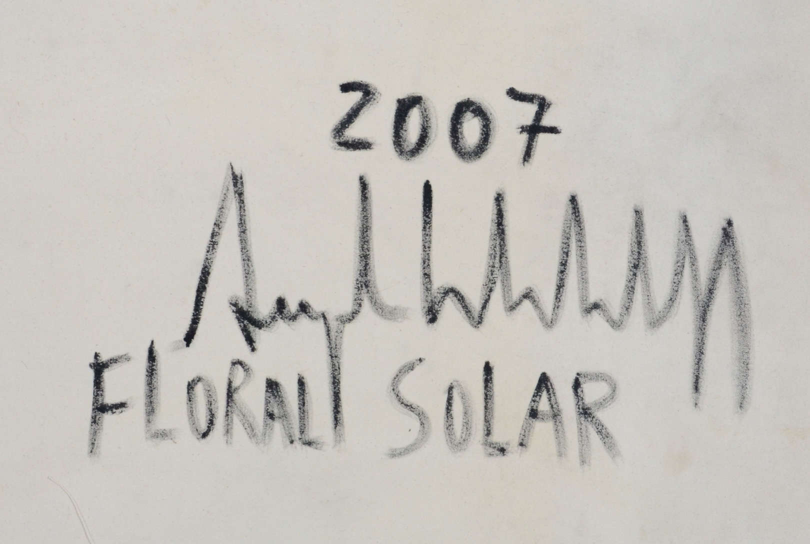 Augusto Herkenhoff  (1965), Floral solar - foto 2 de 2