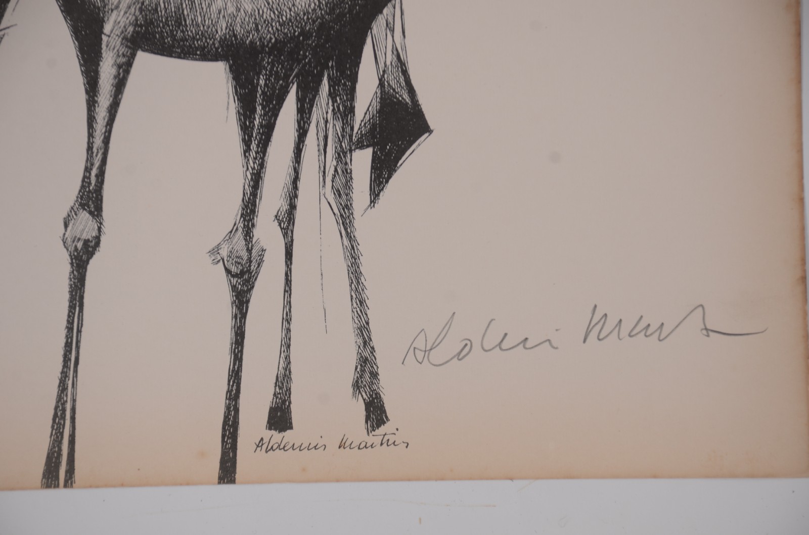 Aldemir Martins (1922-2006) - foto 10 de 11