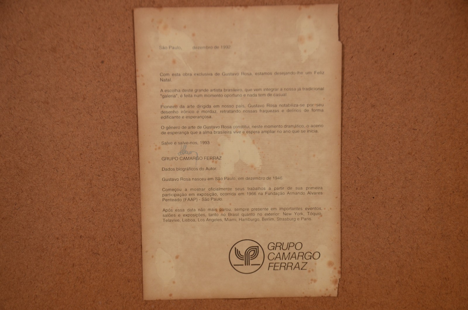 Gato - foto 7 de 7