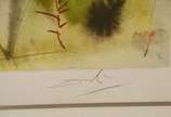 Salvador Dalí (1904-1989), Sem título - Gravura - tiragem 145/250.