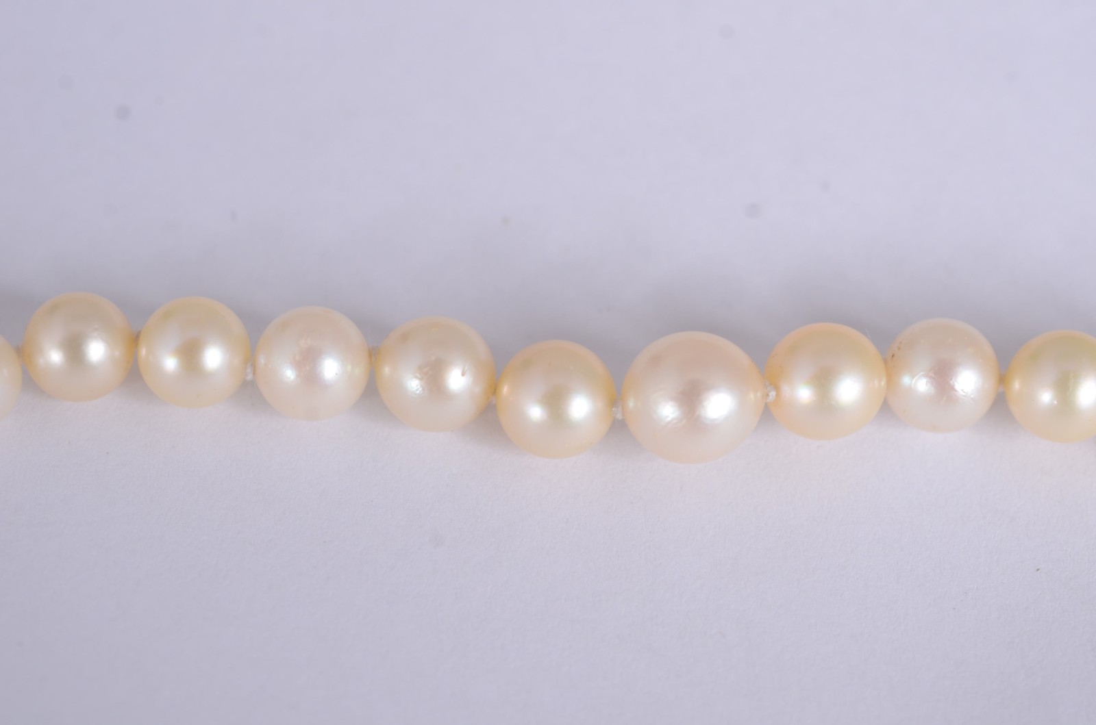 Colar de pérolas com fecho de ouro 18 k. (Por motivos de segurança a... - foto 2 de 3