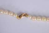 Colar de pérolas com fecho de ouro 18 k.<br>(Po... - Colar de pérolas com fecho de ouro 18 k.<br>(Por motivos de segurança a peça não se encontra na loja).