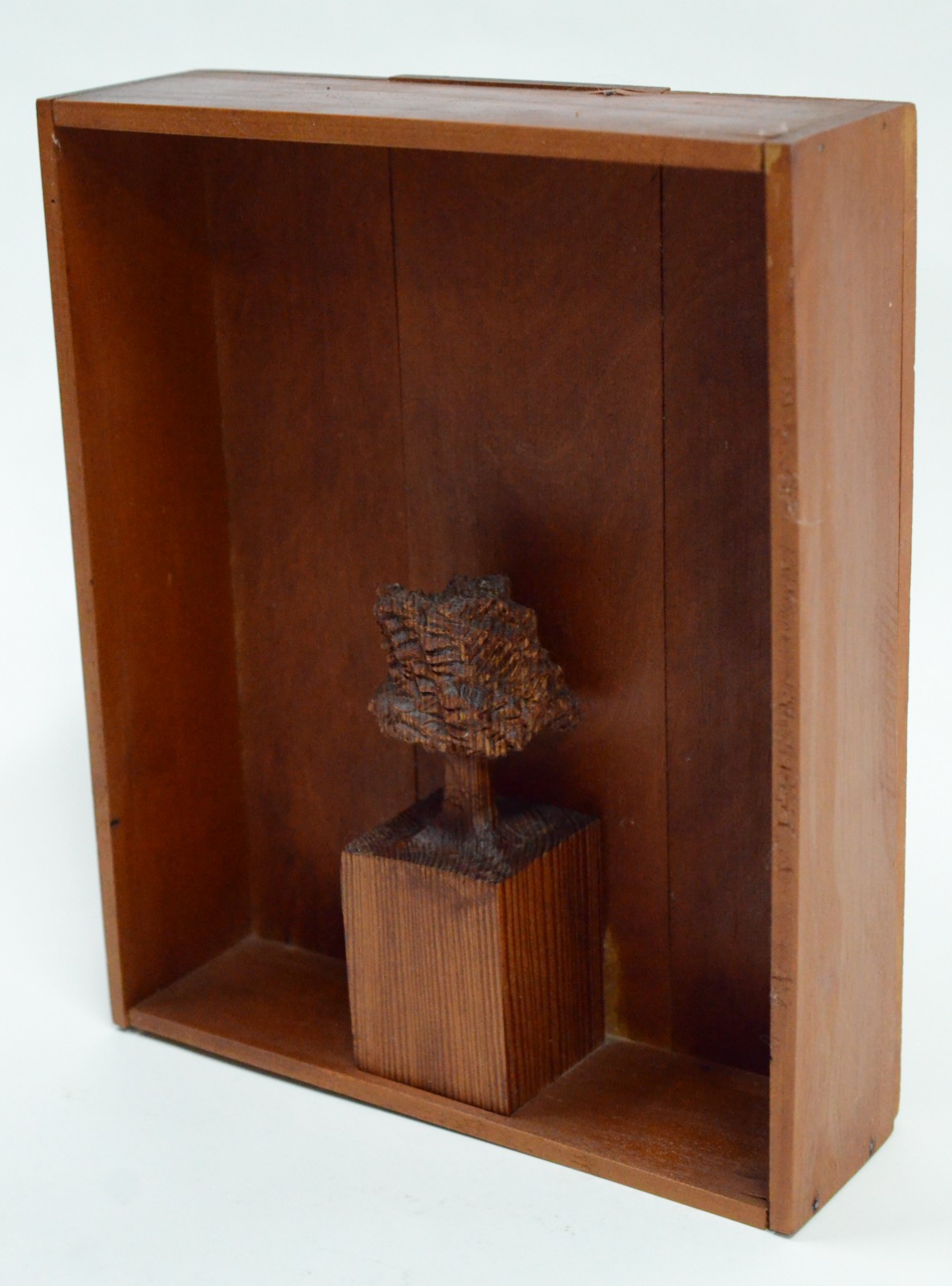 José Bento (1962), Árvore - foto 2 de 9