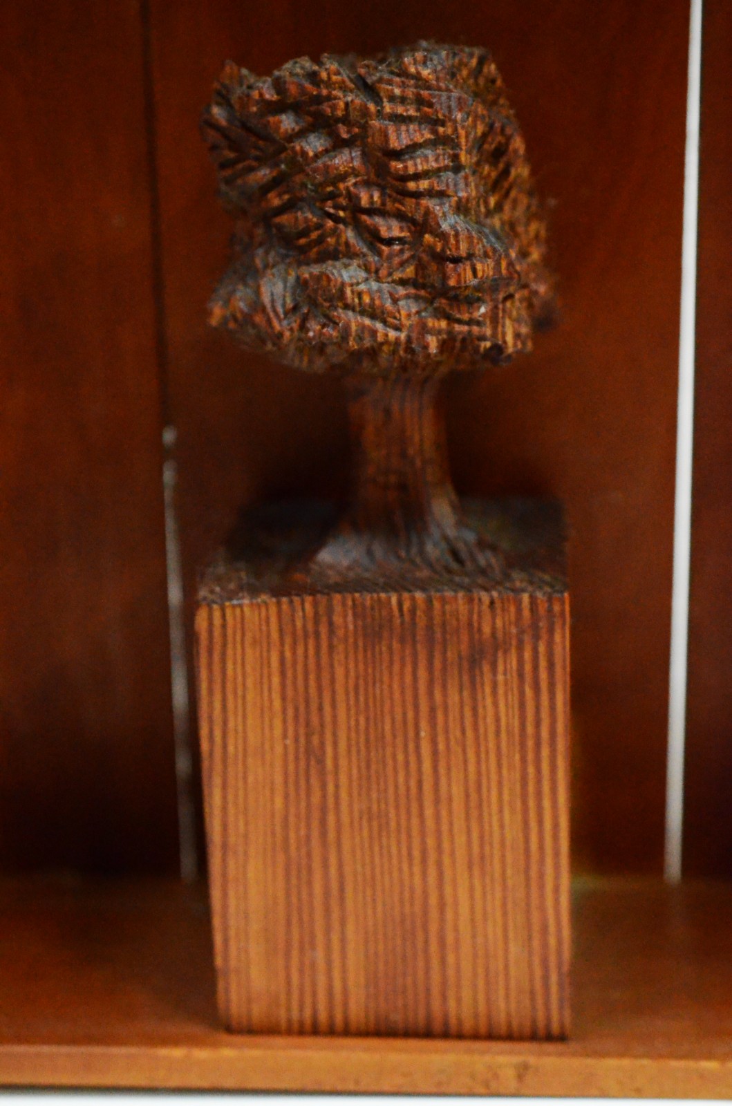 José Bento (1962), Árvore - foto 3 de 9