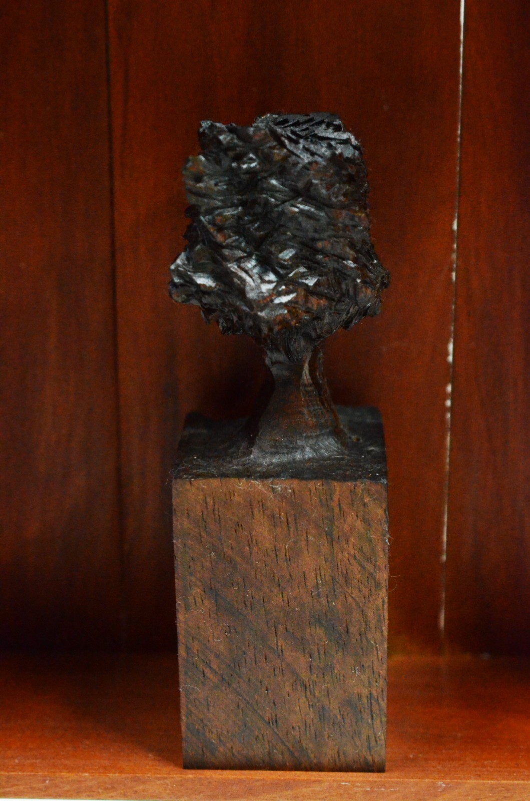 José Bento (1962), Árvore - foto 4 de 9