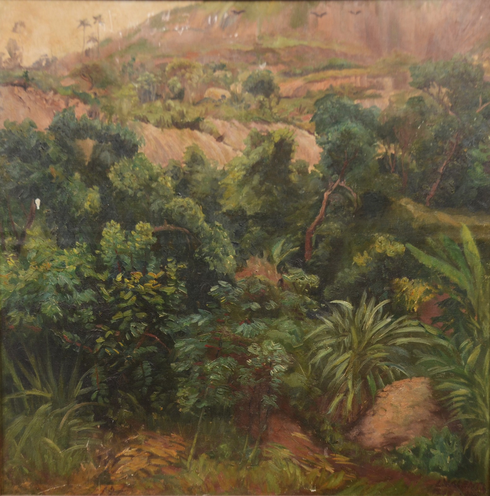 Paisagem - foto 1 de 7