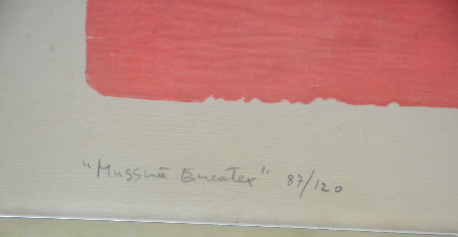 Maria Bonomi (1935), Tartaruga - foto 3 de 11