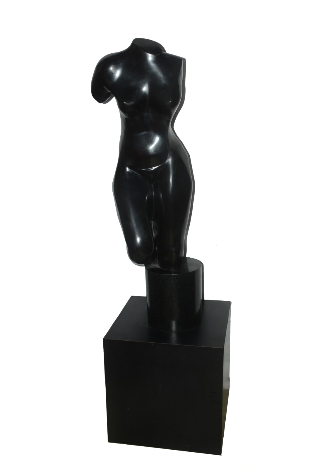 Evandro Carneiro (1946), Nú Feminino - foto 1 de 5