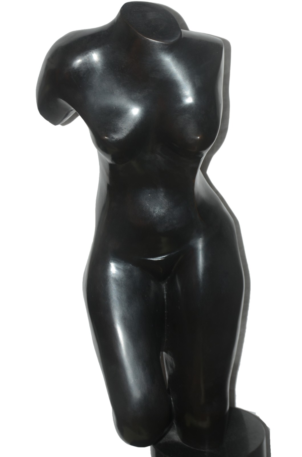 Evandro Carneiro (1946), Nú Feminino - foto 2 de 5