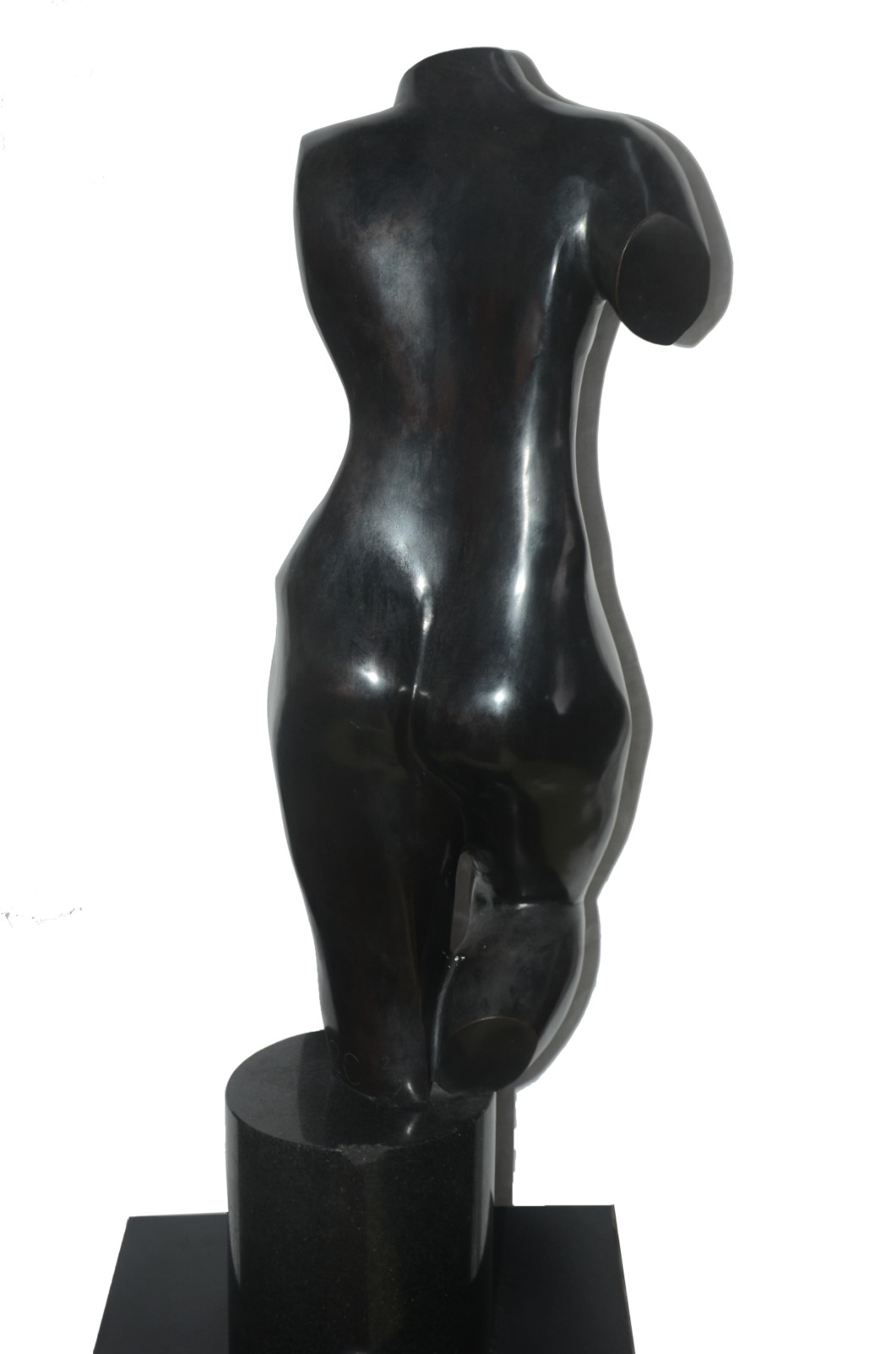 Evandro Carneiro (1946), Nú Feminino - foto 4 de 5