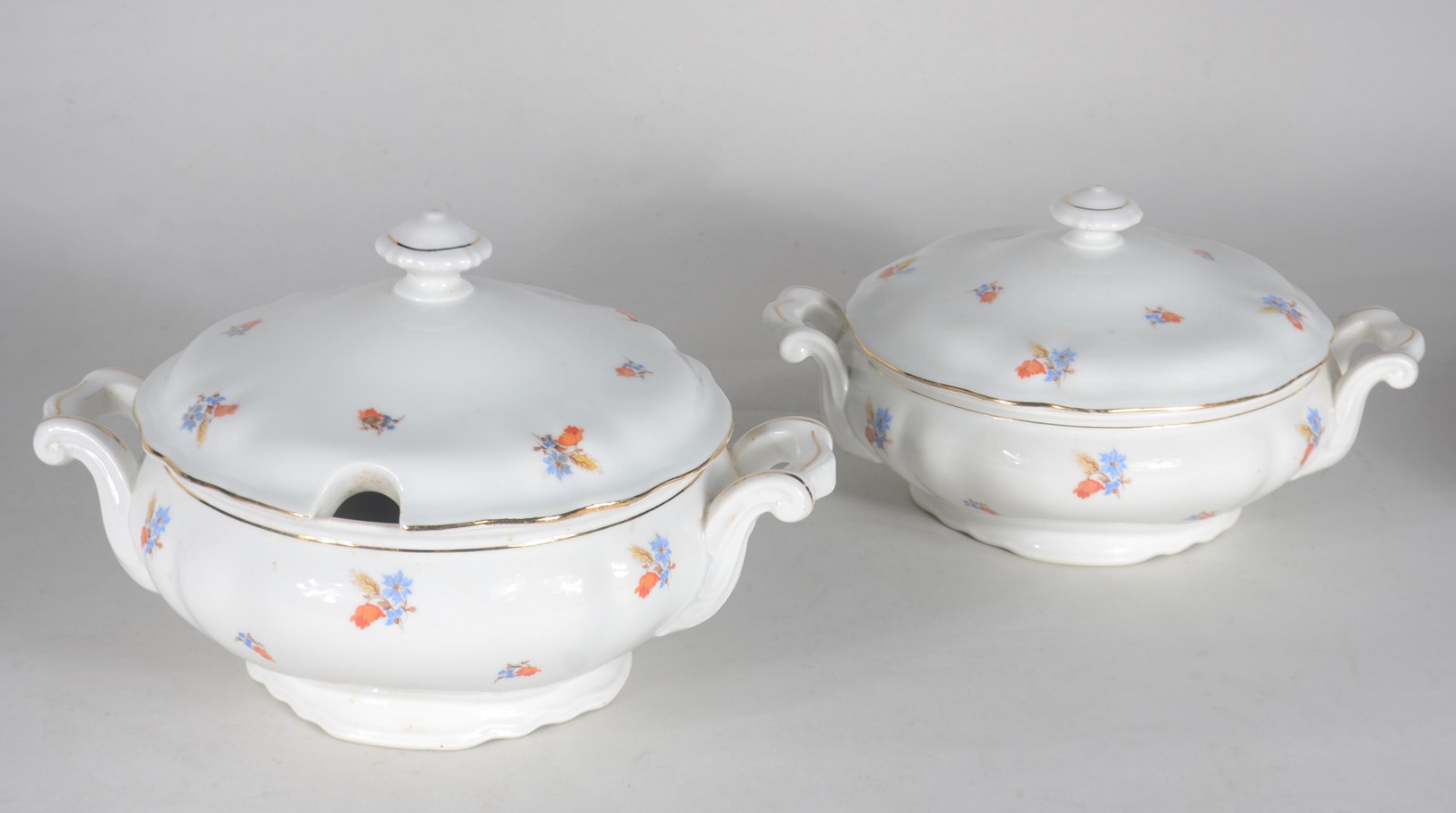 Aparelho para jantar de porcelana tcheca, branca com flores em... - foto 2 de 11