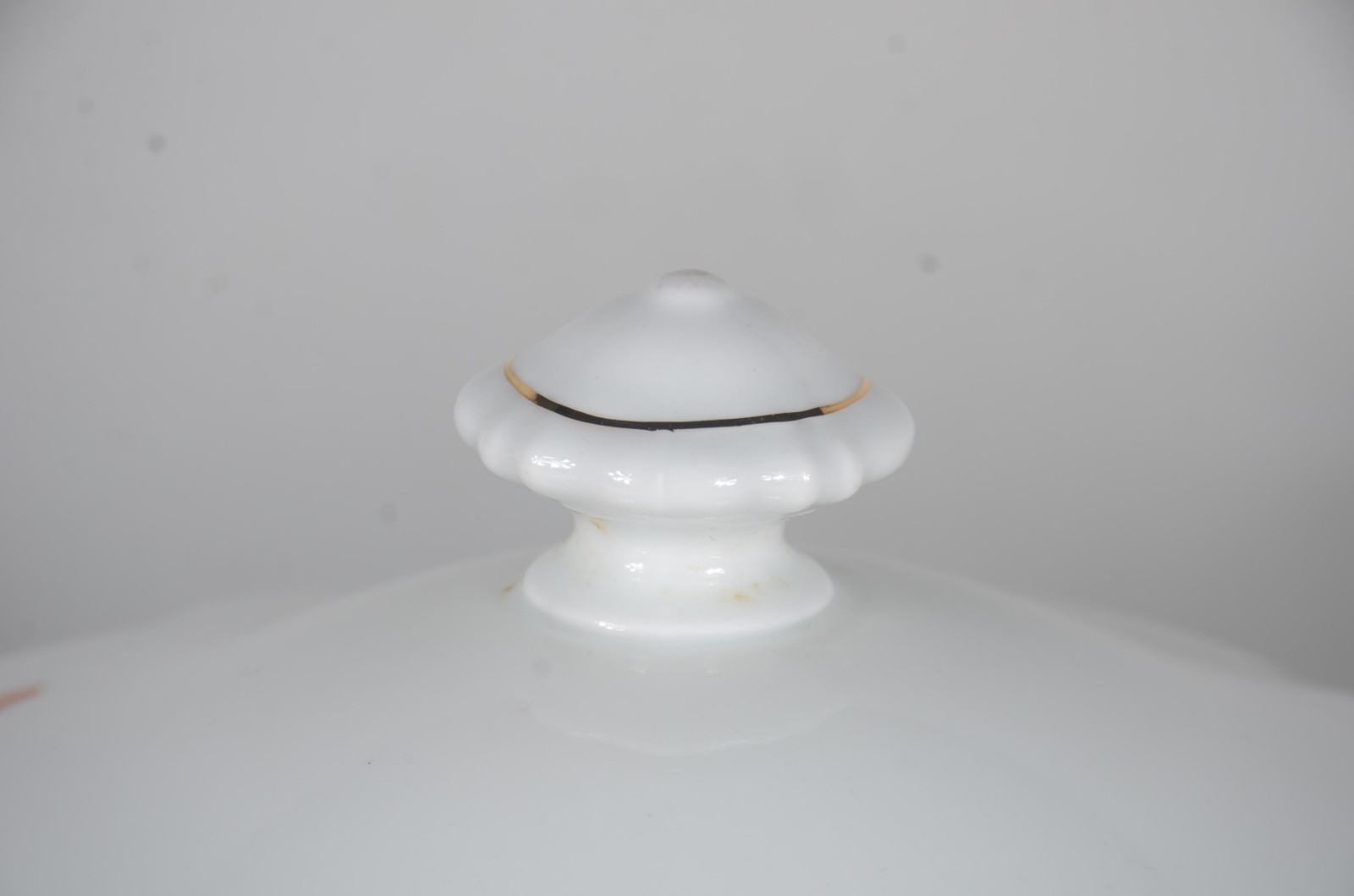 Aparelho para jantar de porcelana tcheca, branca com flores em... - foto 7 de 11