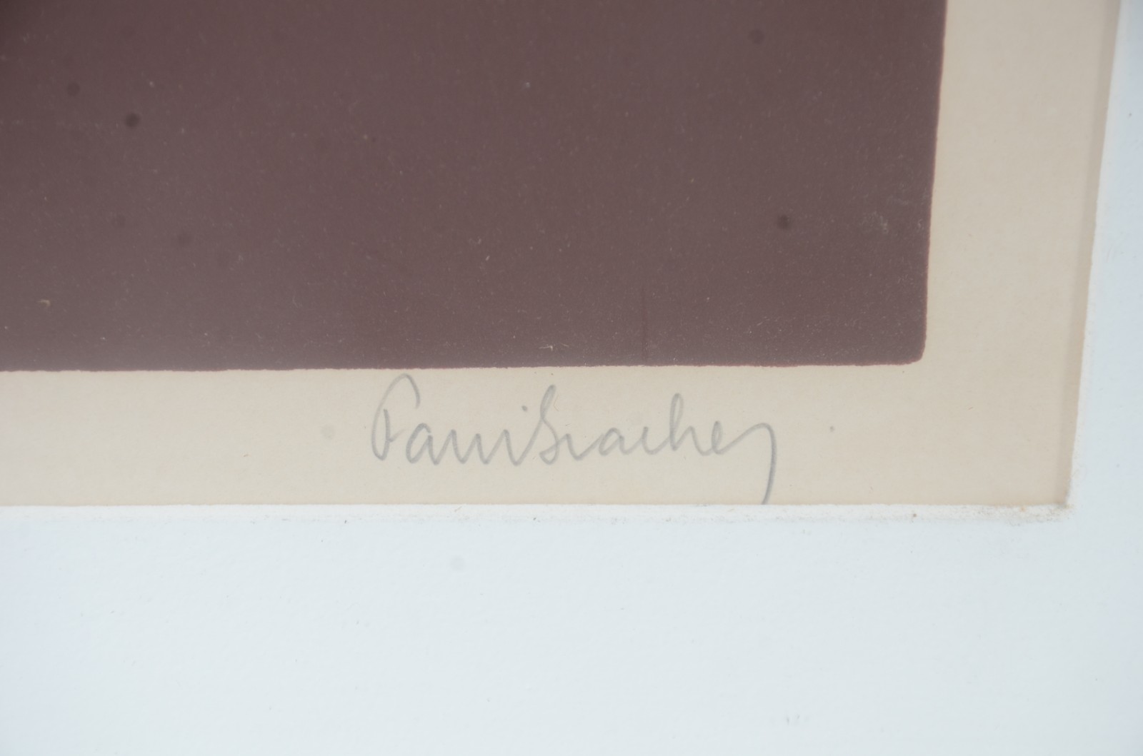 Fani Bracher (1944), Copo de leite - foto 3 de 7