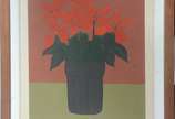 Fani Bracher (1944),  - Gravura - Tiragem 7/10.