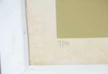 Fani Bracher (1944),  - Gravura - Tiragem 7/10.