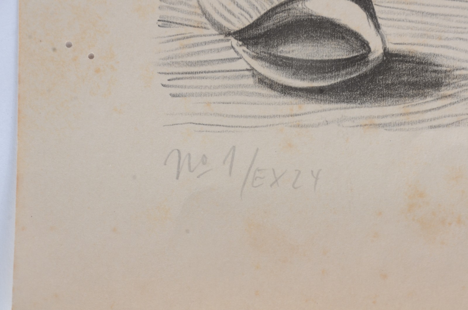 Walter Lewy (1905-1995) - foto 4 de 6