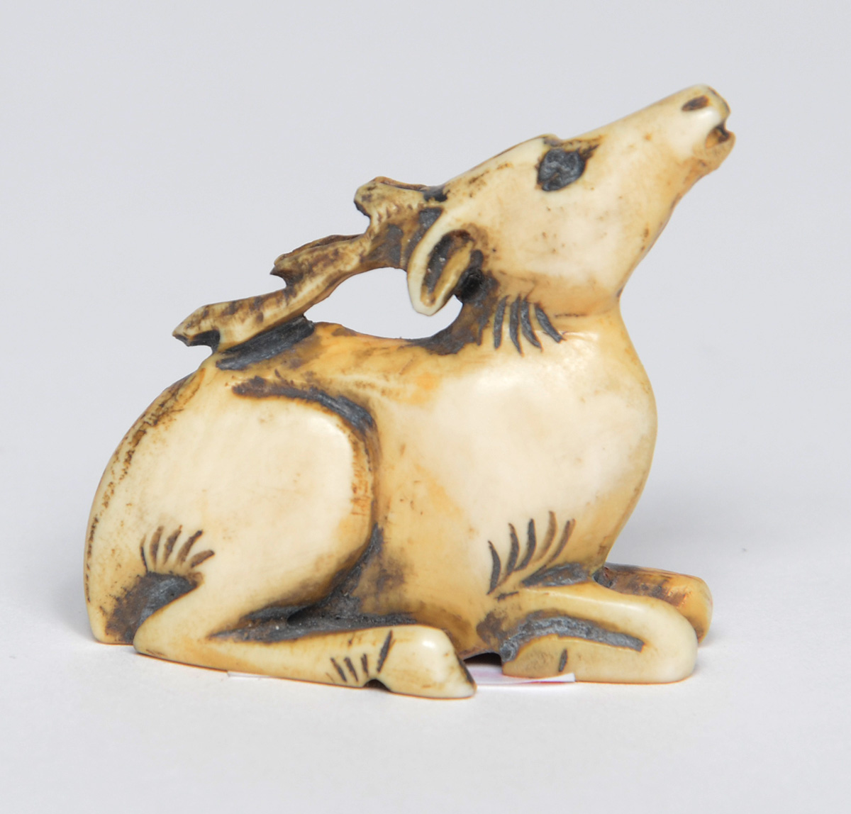Antigo netsuke em marfim representando cervo. Japão, circa 1920... - foto 1 de 2