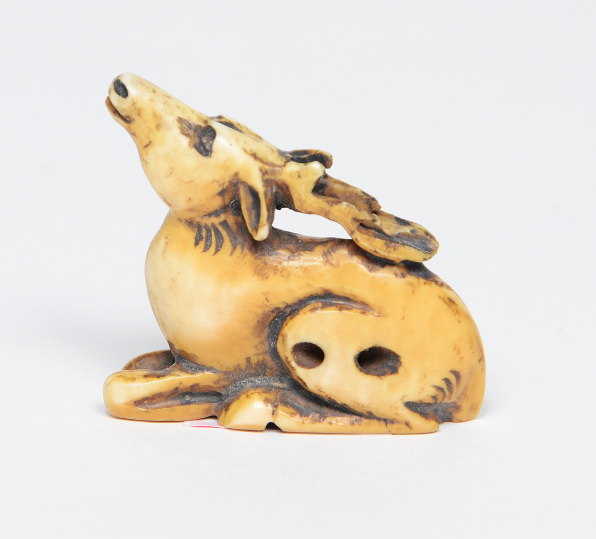 Antigo netsuke em marfim representando cervo. Japão, circa 1920... - foto 2 de 2
