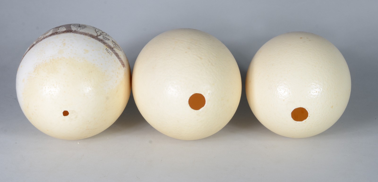 Diversas peças, sendo: 3 ovos de Avestruz (um deles com pintura de... - foto 6 de 9