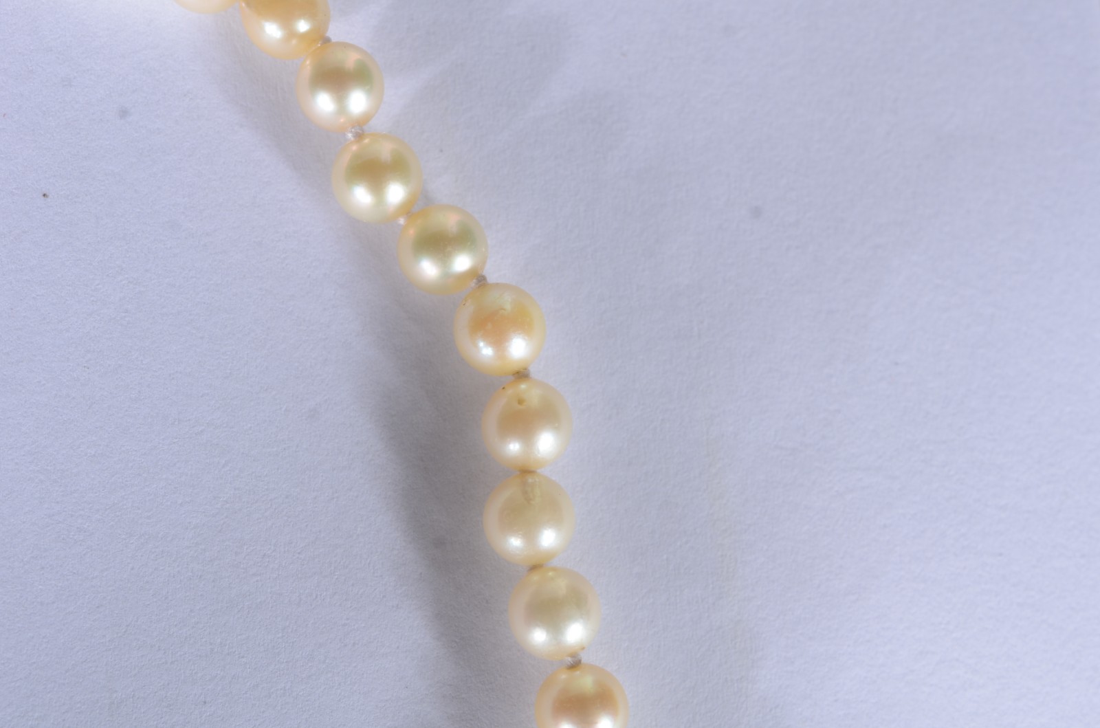 Colar de perolas com fecho de ouro 18 k. (Por motivos de segurança a... - foto 3 de 3