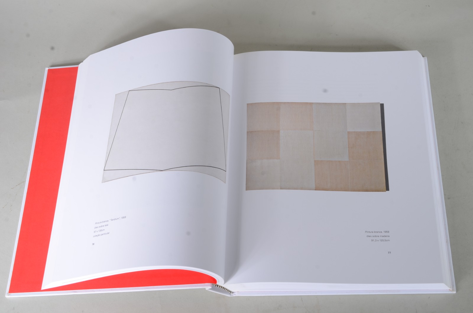 Livro de Helio Oiticica. - foto 4 de 7