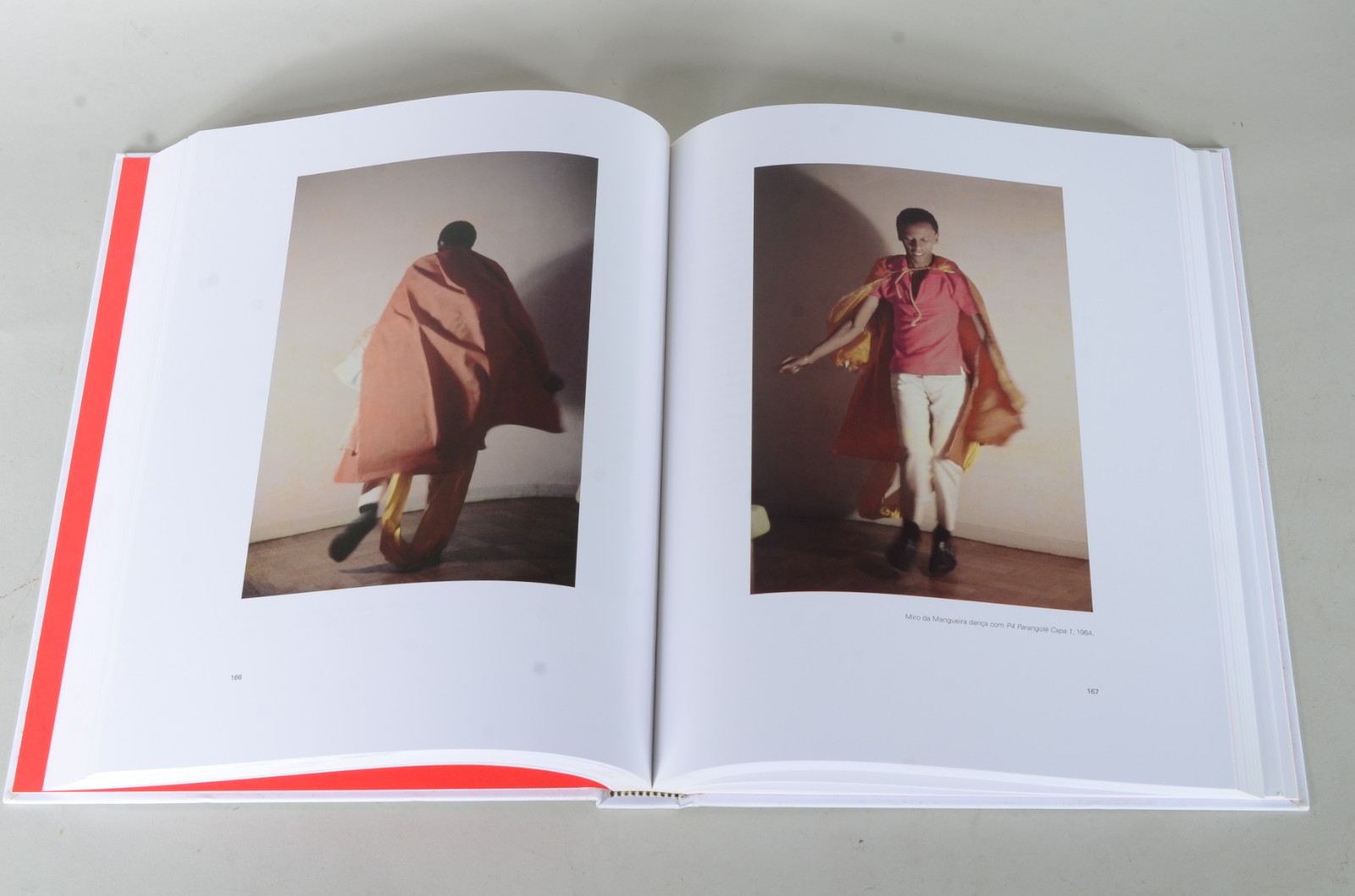 Livro de Helio Oiticica. - foto 6 de 7