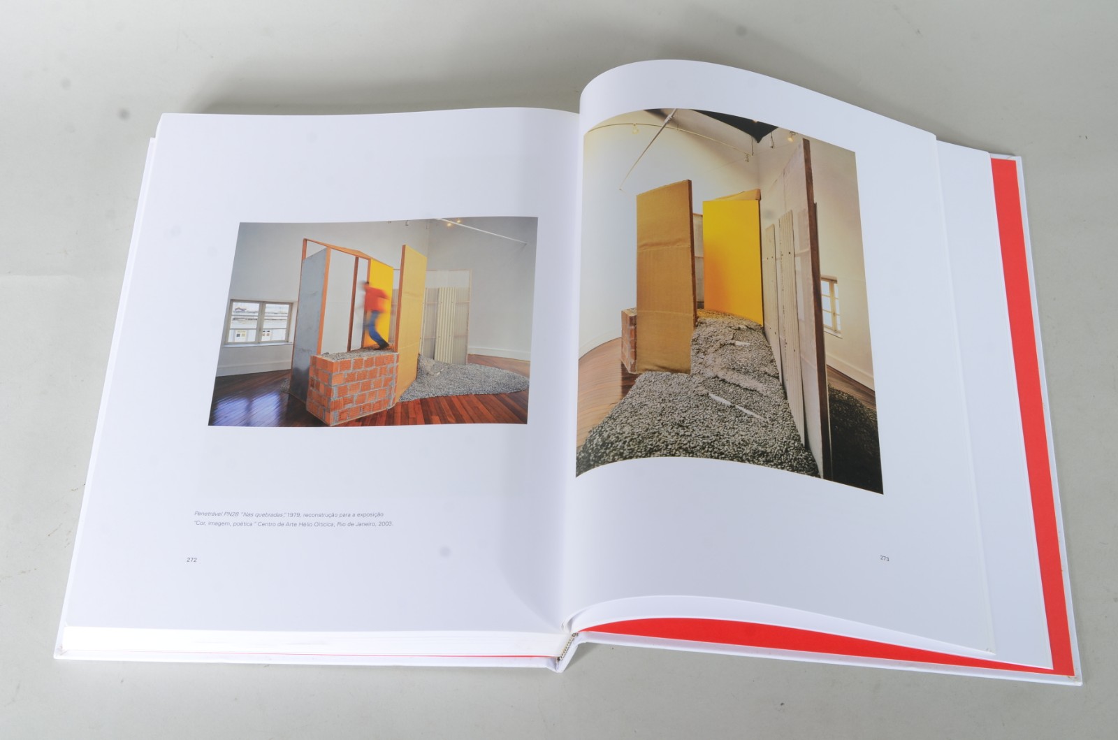 Livro de Helio Oiticica. - foto 7 de 7
