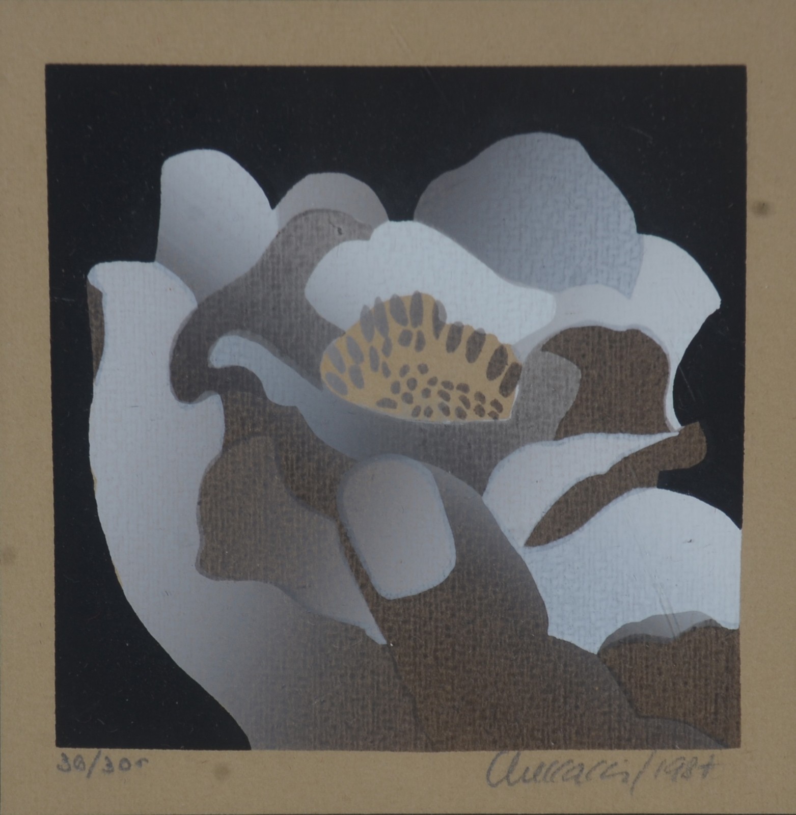Pietrina Checcacci (1941), Flor - foto 1 de 5