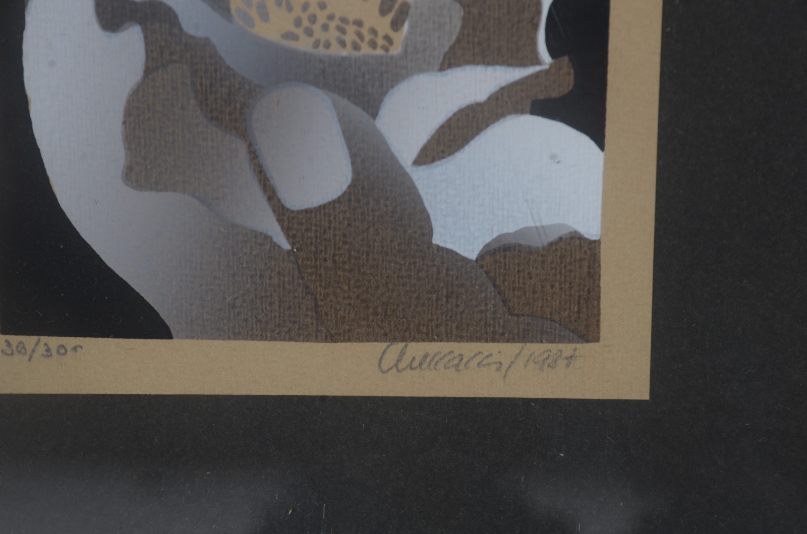 Pietrina Checcacci (1941), Flor - foto 4 de 5