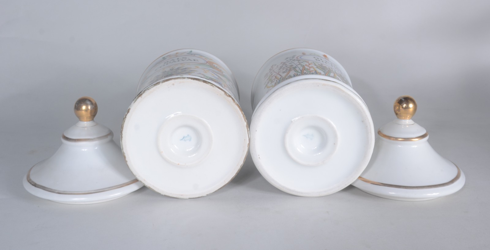 Par de potes de farmácia de porcelana Saler, nomes identificadores em... - foto 6 de 7