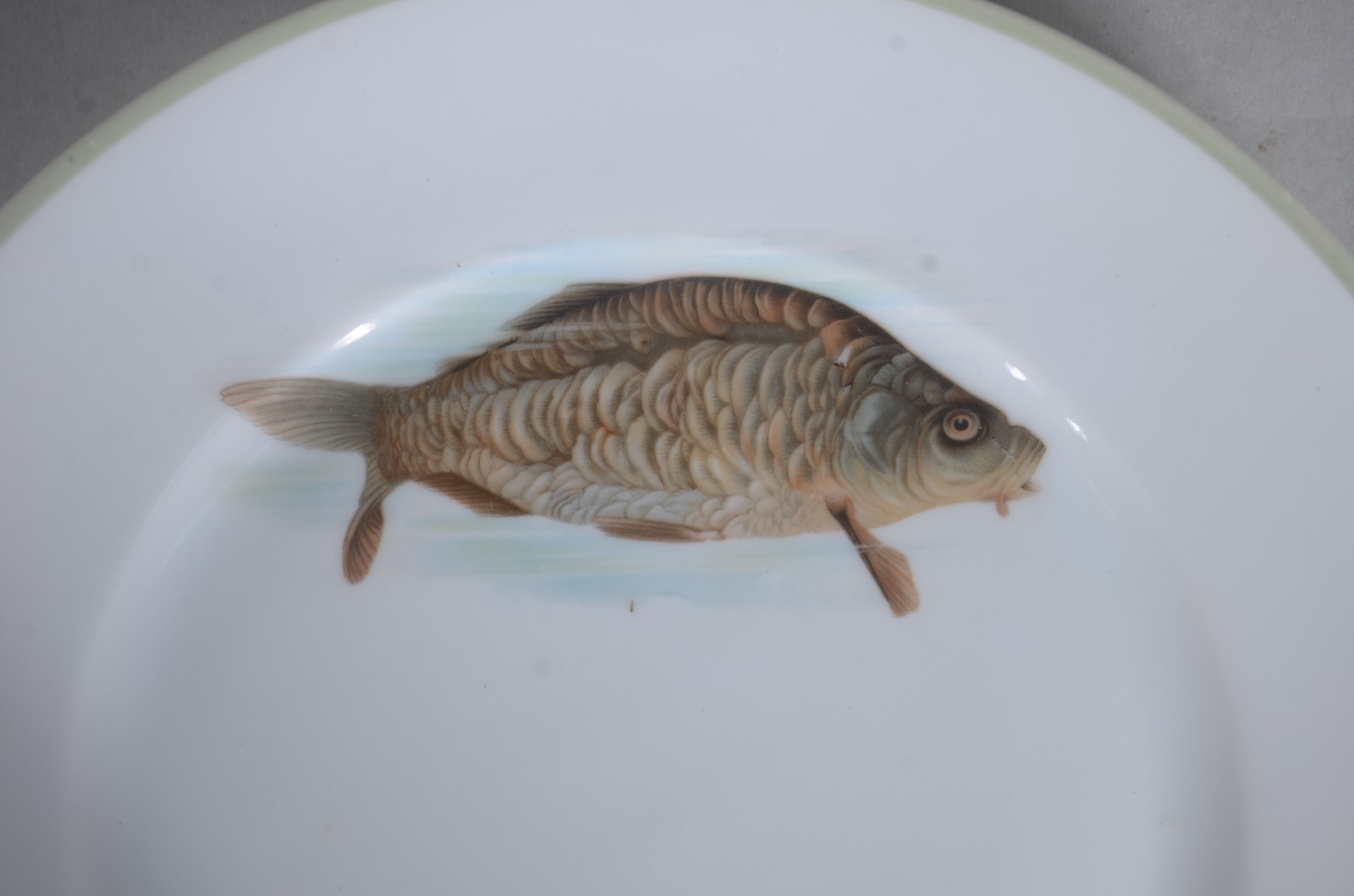 Conjunto com 12 pratos decorados com peixes em policromia de... - foto 6 de 9