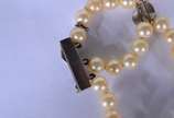 Pulseira de perolas com platina. (Por motivos d... - Pulseira de perolas com platina. (Por motivos de segurança a peça não se encontra na loja).