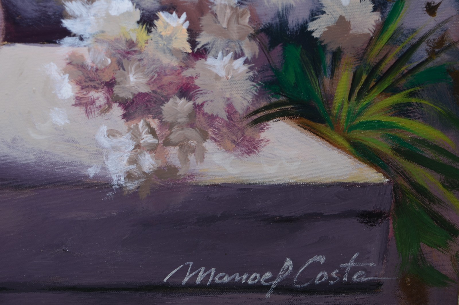 Manoel Costa (1943), Florista - foto 2 de 4