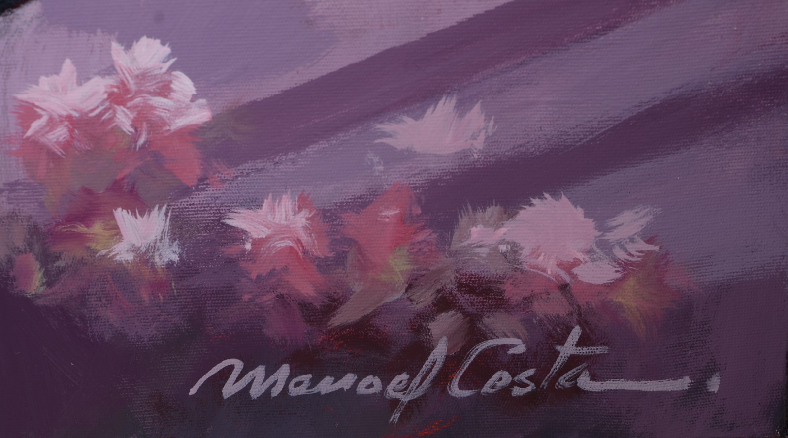 Manoel Costa (1943), Florista - foto 2 de 4