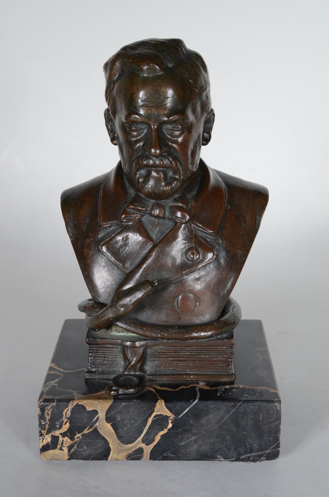 Busto de bronze representando Louis Pasteur. - foto 1 de 5