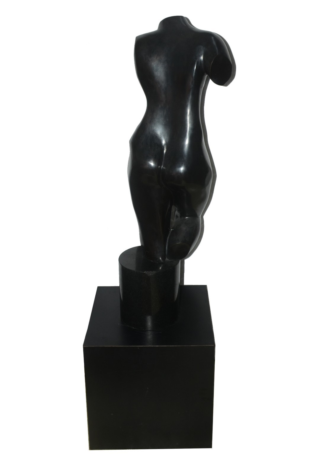 Evandro Carneiro (1946), Nú Feminino - foto 3 de 5