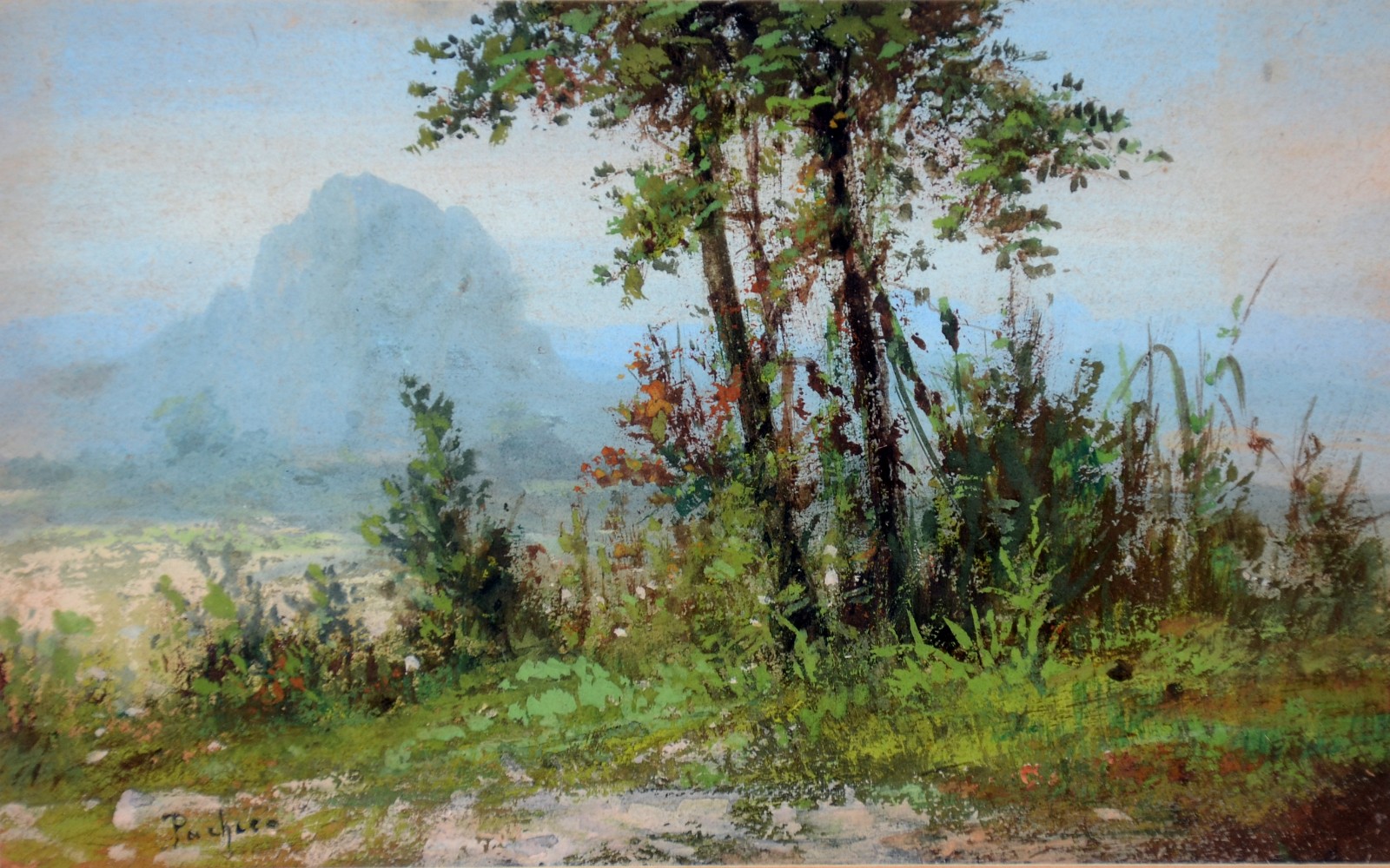 Insley Pacheco (1830-1912), Paisagem - foto 1 de 4