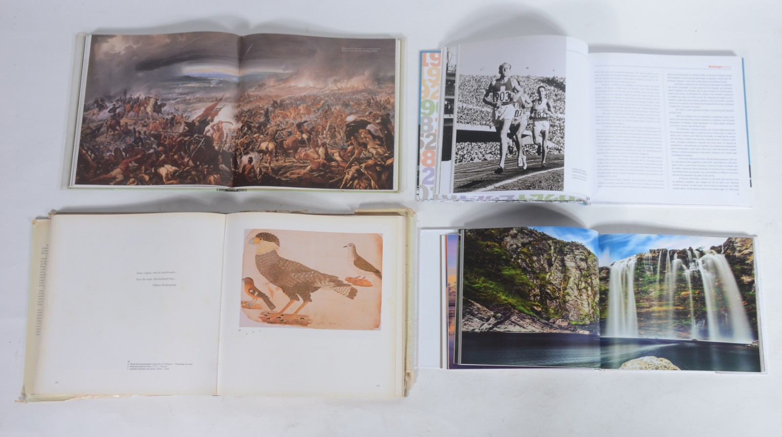 Quatro livros: A) Guerra do Paraguai - Ricardo Salles B) Fauna e... - foto 3 de 6